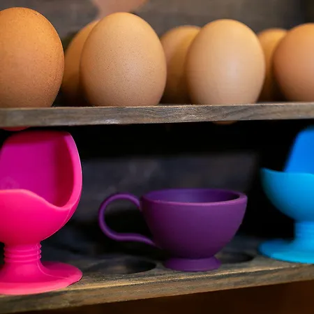 Daniele Hotel Lignano Sabbiadoro